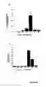 Fig. 06 - Agents and methods for enhancing bone formation by oxysterols in combination with bone morphogenic proteins