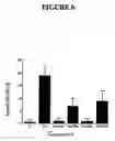 Fig. 08 - Agents and methods for enhancing bone formation by oxysterols in combination with bone morphogenic proteins