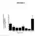 Fig. 10 - Agents and methods for enhancing bone formation by oxysterols in combination with bone morphogenic proteins