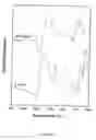 Fig. 02 - Process and compositions for preparing particulate, bioactive or resorbable biosilicates for use in the treatment of oral ailments