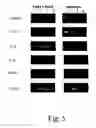 Fig. 06 - Composition and method for treating autoimmune disease and mucosal disorder