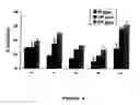 Fig. 07 - Cyclooxygenase-2 inhibitory withanolide compositions and method