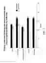 Fig. 03 - Soy formulations and their use in skin care