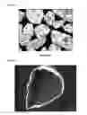 Fig. 02 - Roofing Granules With Improved Surface Coating Coverage And Functionalities And Method For Producing Same