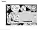 Fig. 04 - Roofing Granules With Improved Surface Coating Coverage And Functionalities And Method For Producing Same