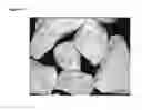 Fig. 05 - Roofing Granules With Improved Surface Coating Coverage And Functionalities And Method For Producing Same
