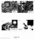 Fig. 12 - Duplex coatings and bulk materials, and methods of manufacture thereof