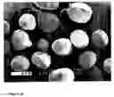 Fig. 06 - Multilayer rotational moulding