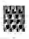 Fig. 02 - Orthogonally ambiguous carpet tile