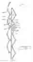 Fig. 02 - Cellular structure