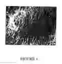 Fig. 02 - Electrostatically charged filter media incorporating an active agent