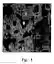 Fig. 02 - MoSi-SiNcomposite coating and manufacturing method thereof