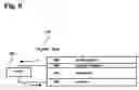 Fig. 07 - Solid-state direct methanol thin film fuel cell