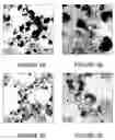 Fig. 03 - Photocatalytic methods for preparation of electrocatalyst materials