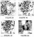 Fig. 04 - Photocatalytic methods for preparation of electrocatalyst materials