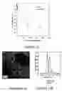 Fig. 08 - Photocatalytic methods for preparation of electrocatalyst materials