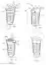 Fig. 02 - Slanted dental implant