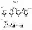 Fig. 02 - Method of assaying interaction between proteins
