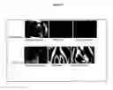 Fig. 06 - Bead based assays using a liquid crystal reporter