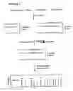 Fig. 02 - Multiplex genotyping using solid phase capturable dideoxynucleotides and mass spectrometry