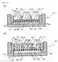 Fig. 22 - Biochip and biochip kit, and method of producing the same and method of using the same