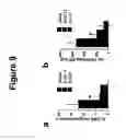 Fig. 10 - Bcl2L12 polypeptide activators and inhibitors