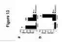 Fig. 14 - Bcl2L12 polypeptide activators and inhibitors