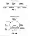 Fig. 02 - Direct multiplex characterization of genomic DNA