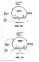 Fig. 07 - Direct multiplex characterization of genomic DNA