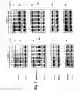 Fig. 06 - Methods of identifying aberrant RNA or RNA targeted for cleavage by miRNA or siRNA