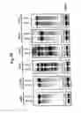 Fig. 10 - Methods of identifying aberrant RNA or RNA targeted for cleavage by miRNA or siRNA