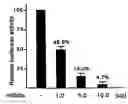 Fig. 01 - SIR2 activity