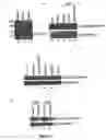 Fig. 04 - SIR2 activity
