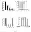 Fig. 06 - SIR2 activity