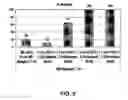 Fig. 03 - Methods of nucleic acid target capture