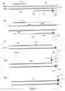 Fig. 03 - Materials and methods for detection of nucleic acids