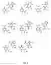 Fig. 04 - Materials and methods for detection of nucleic acids