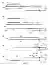 Fig. 08 - Materials and methods for detection of nucleic acids