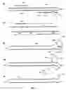 Fig. 10 - Materials and methods for detection of nucleic acids