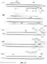 Fig. 13 - Materials and methods for detection of nucleic acids