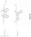 Fig. 07 - Peptide conjugates and fluorescence detection methods for intracellular caspase assay