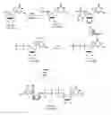 Fig. 01 - Synthesis and use of anti-reverse mRNA cap analogues
