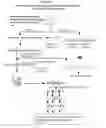 Fig. 04 - Methods and compositions for generating human monoclonal antibodies