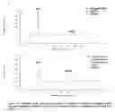 Fig. 85 - Enantioselective oligomerization of alpha-hydroxy carboxylic acids and alpha-amino acids