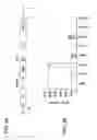 Fig. 04 - Development of a transposon system for site-specific DNA integration in mammalian cells