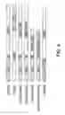 Fig. 05 - Development of a transposon system for site-specific DNA integration in mammalian cells