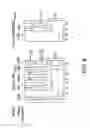 Fig. 08 - Development of a transposon system for site-specific DNA integration in mammalian cells