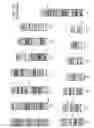 Fig. 20 - Development of a transposon system for site-specific DNA integration in mammalian cells