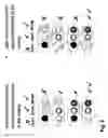 Fig. 04 - Methods of mixing large numbers of heterologous genes