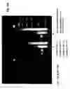 Fig. 22 - Methods of mixing large numbers of heterologous genes